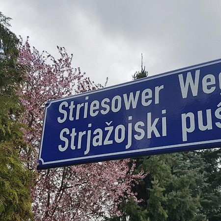 2 Raum Gartenwohnung Am Spreewaldradweg In Cottbus Eksteriør bilde