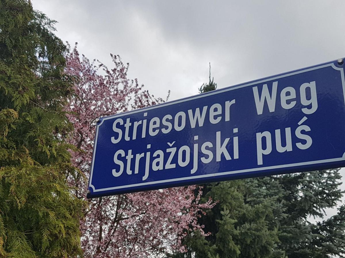 2 Raum Gartenwohnung Am Spreewaldradweg In Cottbus Eksteriør bilde